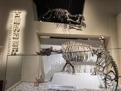 -国家自然博物馆