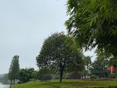 -明月山天沐温泉度假村