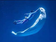 -芜湖新华联大白鲸海洋公园