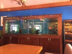 门面-蓝枪鱼西餐厅(锦华店)