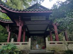 -中山公园