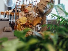 -CoffeeVendor(西乡店)