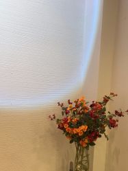 -MOZZ木子造型