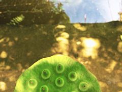 -韶山毛泽东同志故居