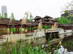 -重庆彩云湖湿地公园