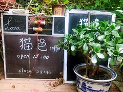 -猫色咖啡·猫咖