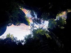 -梭布垭石林景区