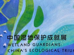 -中国湿地博物馆