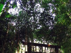 -旅马餐厅(茅家埠店)