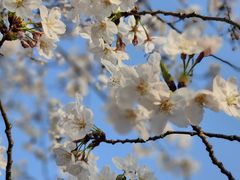 -龙美术馆(西岸馆)