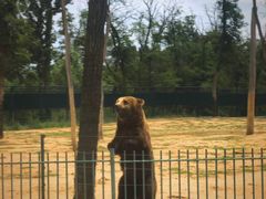 -秦皇岛野生动物园