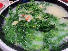 -羽鸽集·乳鸽专门店·地道顺德菜(岭南站店)