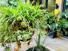 -熙楼(翠湖店)