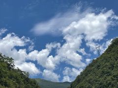 -大九湖