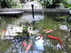 -瑞丰园庭院餐厅·白族传统家常菜