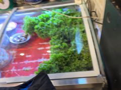 -永安里地摊烤肉(首创店)