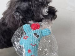 -谐和益家动物医院·免疫绝育·血液透析·宠保定点医院(高新伊藤分院)