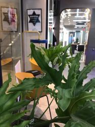 -SEBASTIAN塞巴斯汀