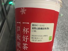 金色山脉黑珍珠-奈雪的茶(国金中心店)