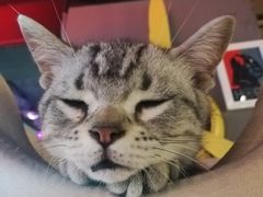 -NRG 健身私教CLUB(云山路店)