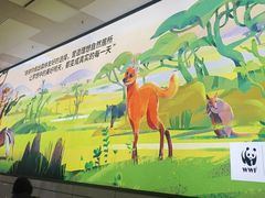 -郑州新郑国际机场-T2航站楼