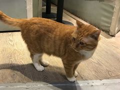 -小时光咖啡馆(开森度假森林店)