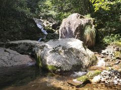 -东天目山风景区