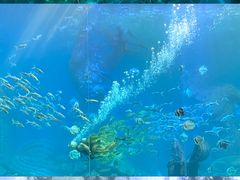 -哈尔滨波塞冬海底世界