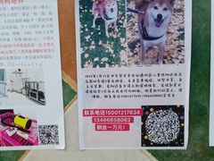 -北京佳信宠物医院