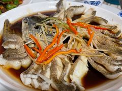 -煲来饱去冷水鱼