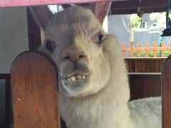 -瑞博尔花园酒店(太周创新产业园店)