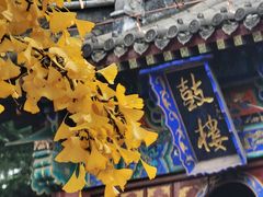 -洛阳白马寺