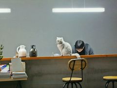 -研途咖啡馆(健康路店)