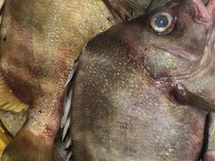 -合家小菜餐馆(新诚花苑店)