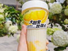 -树夏(成都招商大魔方店)
