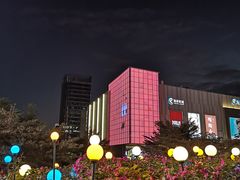 -同仁四季椰子鸡(海岸城天利店)