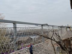 -呀路古热带植物园