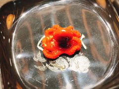 -禾绿回转寿司(万柳华联店)