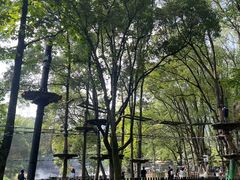 -WeLope紫金山探险公园
