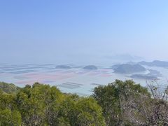 -花竹村