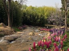 -沂蒙云瀑洞天景区