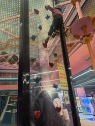 -SPAAARK超级乐园(广州海珠万达店)