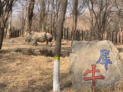 -北京野生动物园