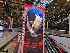 -谢列梅捷沃国际机场