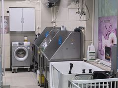 -北京观赏动物医院·24小时大型综合·猫专科·异宠专科