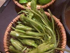 -芸鲜季·云南野生菌餐厅· 云南风物味研社(闵行店)