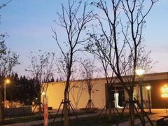 -前小桔亲子创意农场·草莓采摘·露营烧烤