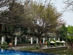 -喜洲吧·江畔老船厂·庭院餐厅(喜临院店)