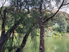 -深圳仙湖植物园