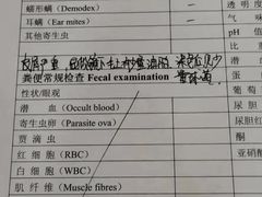 -小伙伴宠物医院•急重症转诊中心·老年专科·犬猫全科(北大街总院)